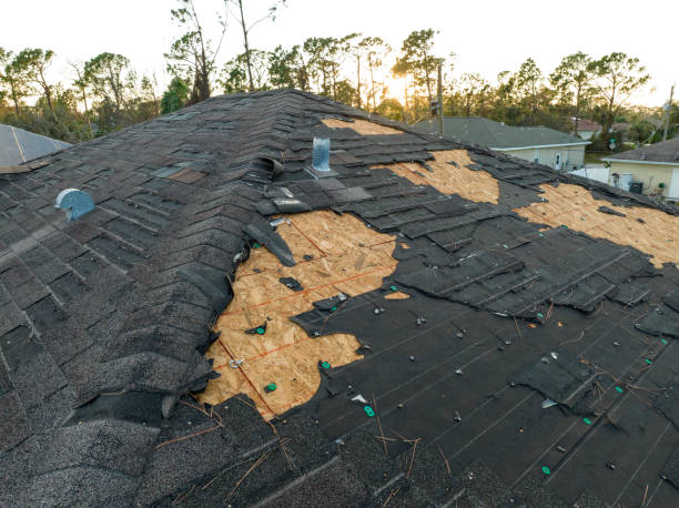Best Commercial Roofing Services  in Adams, WI